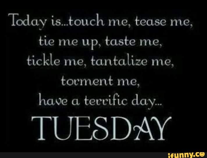 Today is..touch me, tease me, tie me up, taste me, tickle me, tantalize me,  torment me, have a tevvific day TUESDAY - iFunny Brazil