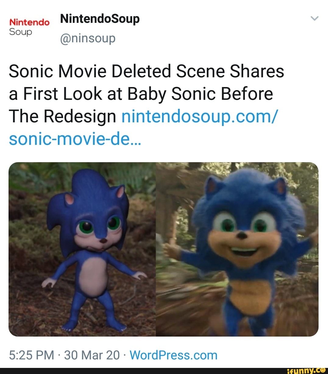 A história do Bebê Sonic 