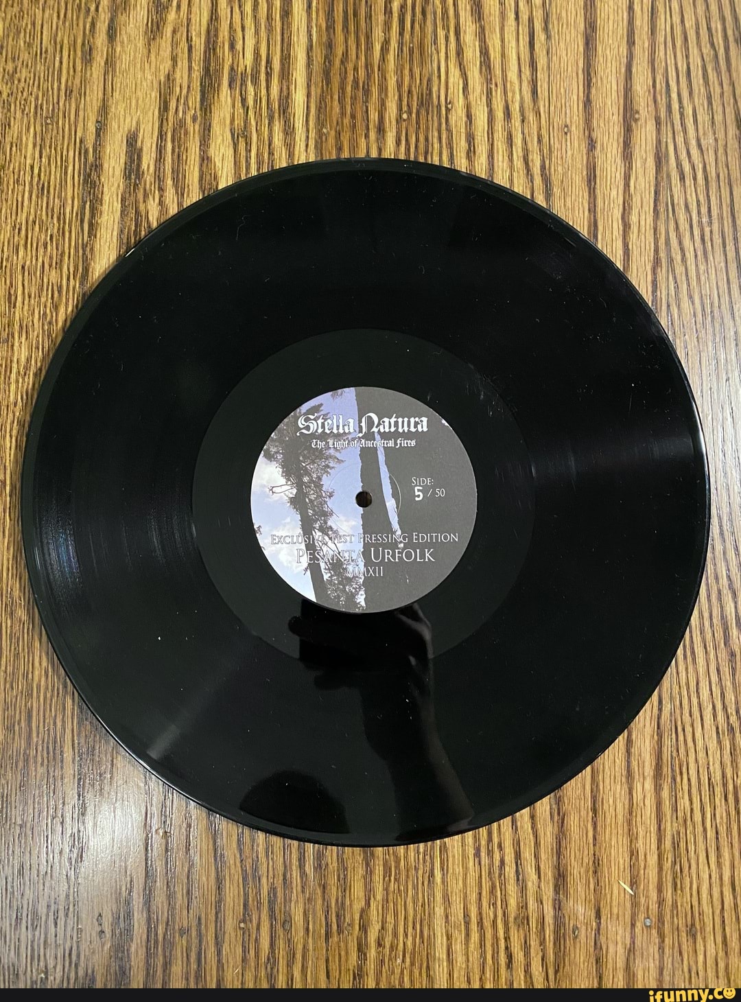 Vinyl_record memes. Best Collection of funny Vinyl_record pictures on