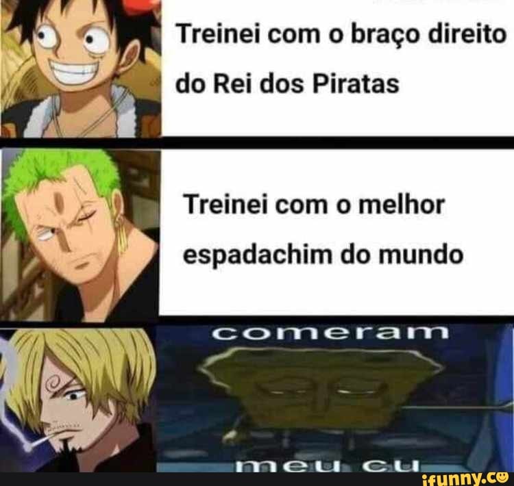 Treinei com o braço direito do Rei dos Piratas Treinei com o melhor  espadachim do mundo comerar - iFunny Brazil