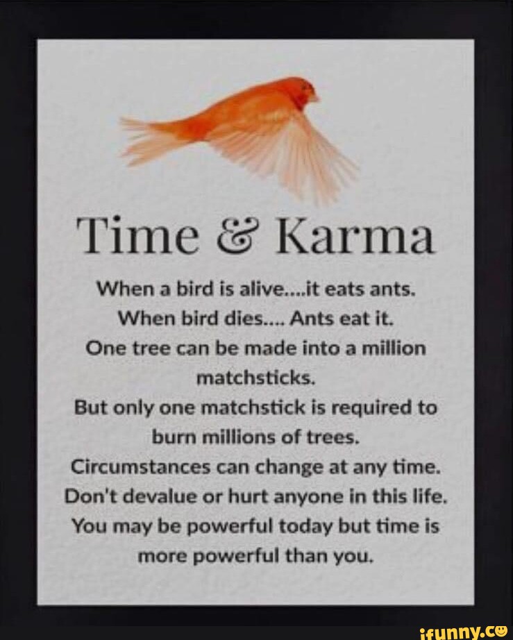 Time & Karma When a bird is alive....it eats ants. When bird dies