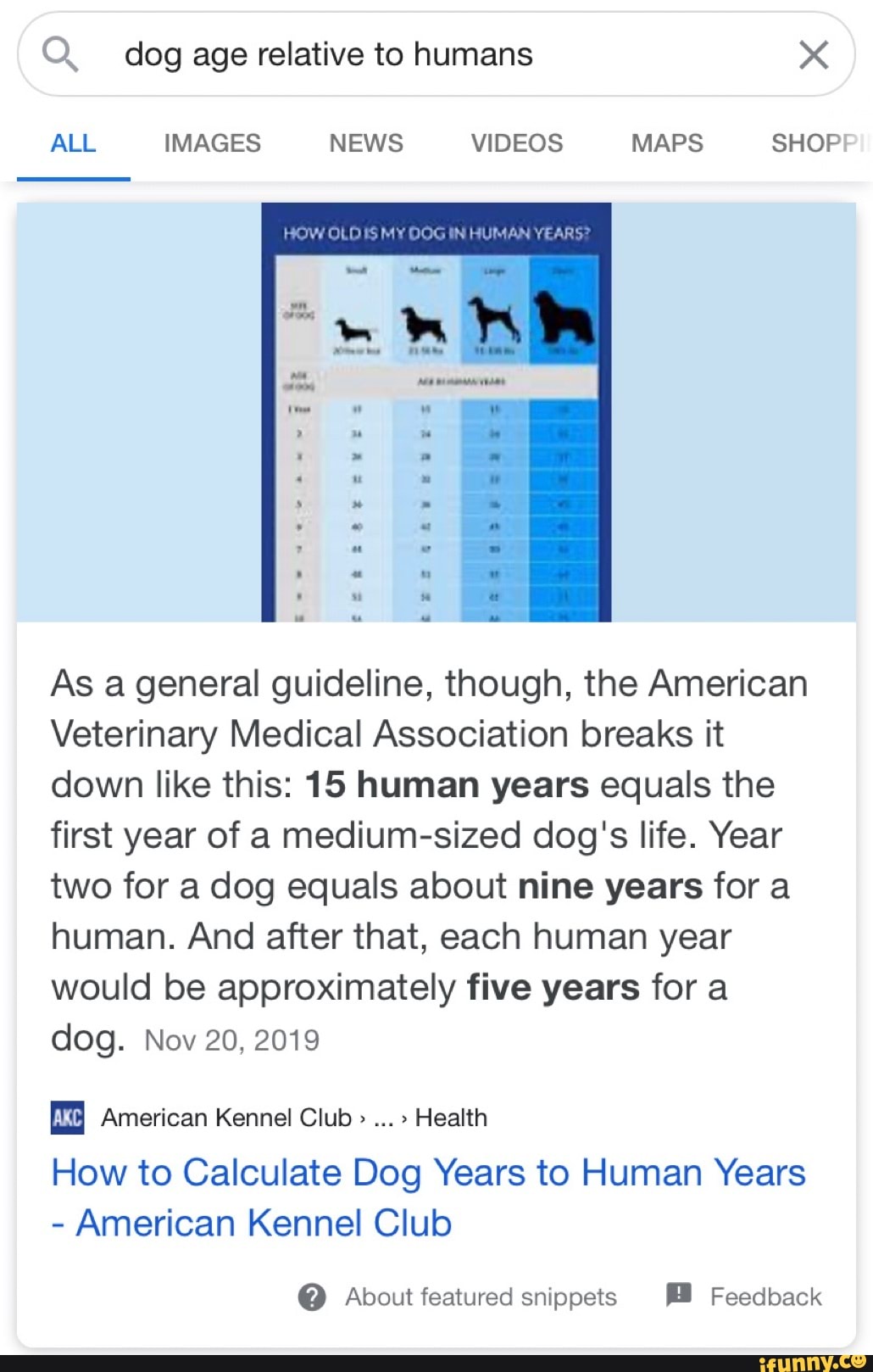 Nine years old sales in dog years