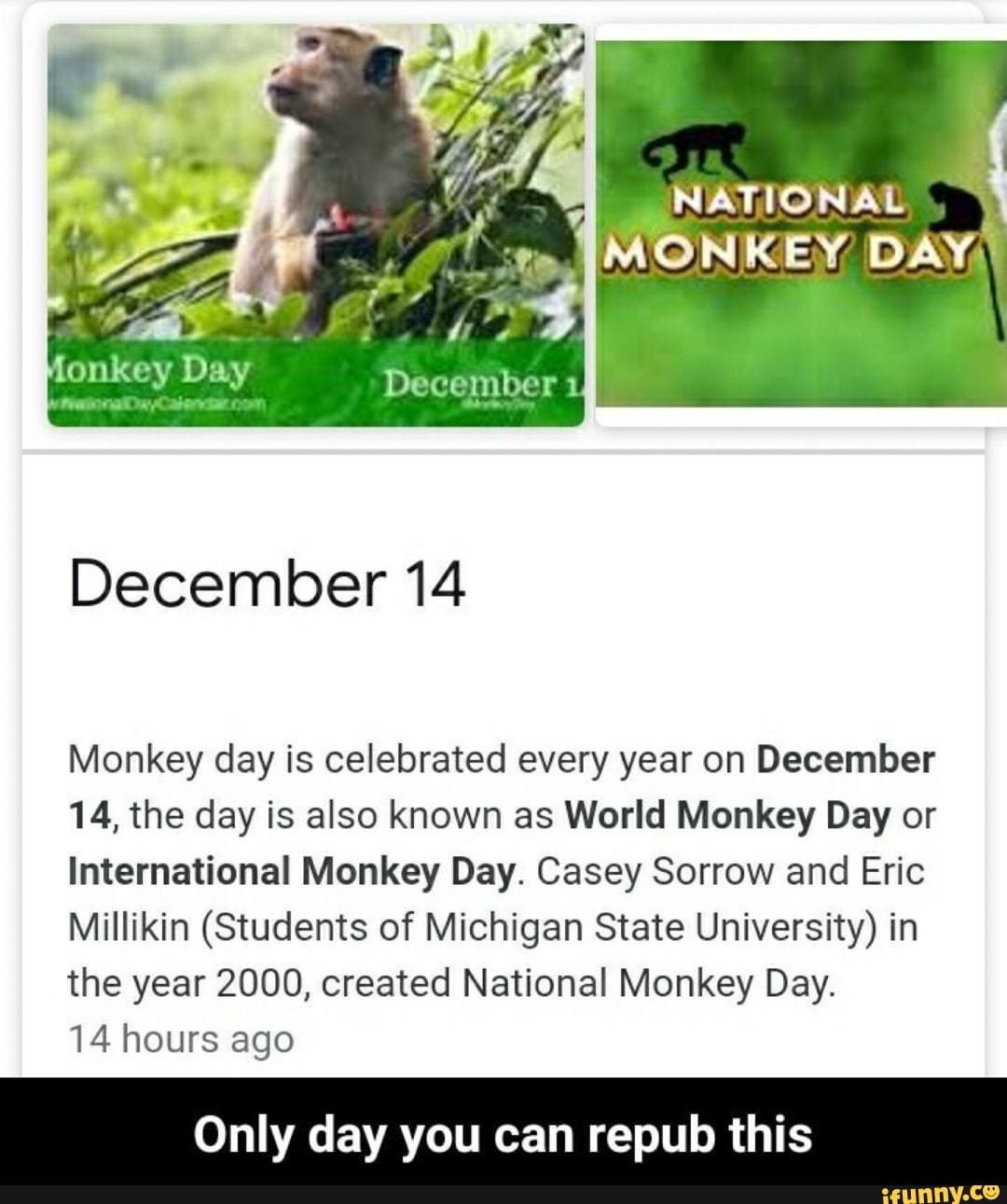 Monkey Day (December 14th)