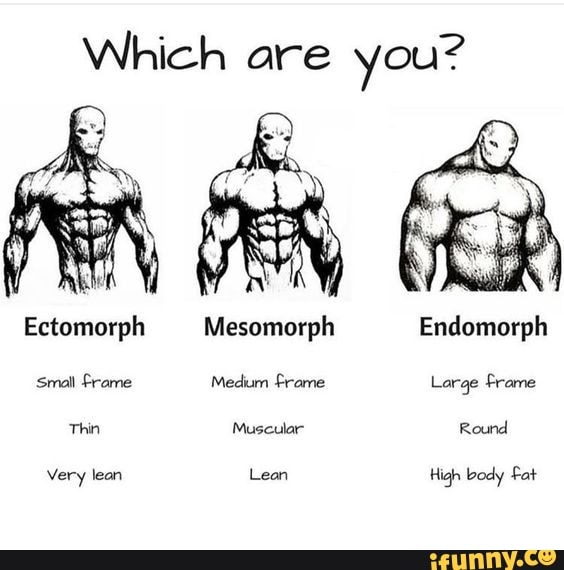 which-are-you-ectomorph-mesomorph-endomorph-small-frame-medium-frame