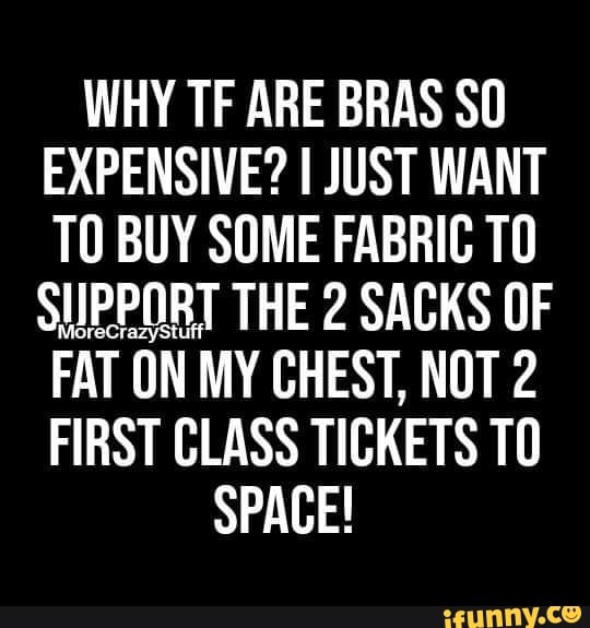 WHY TF ARE BRAS SO EXPENSIVE? JUST WANT TO BUY SOME FABRIC TO SUPPORT THE 2  SACKS OF FAT ON MY CHEST, NOT 2 FIRST CLASS TICKETS TO SPACE! - iFunny  Brazil