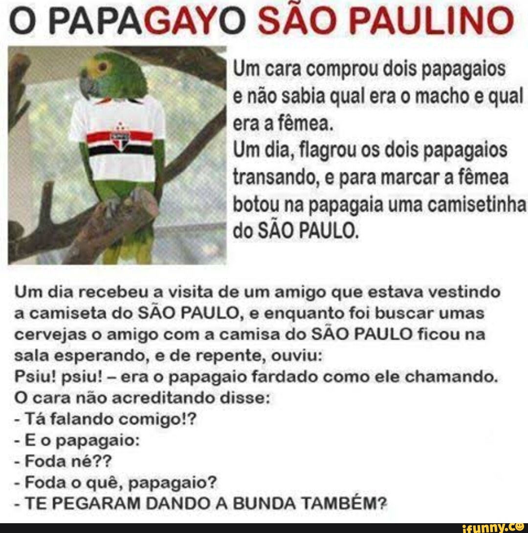 O PAPAGAYO SÃO PAULINO Um cara comprou dois papagaios e não sabia qual era  o macho