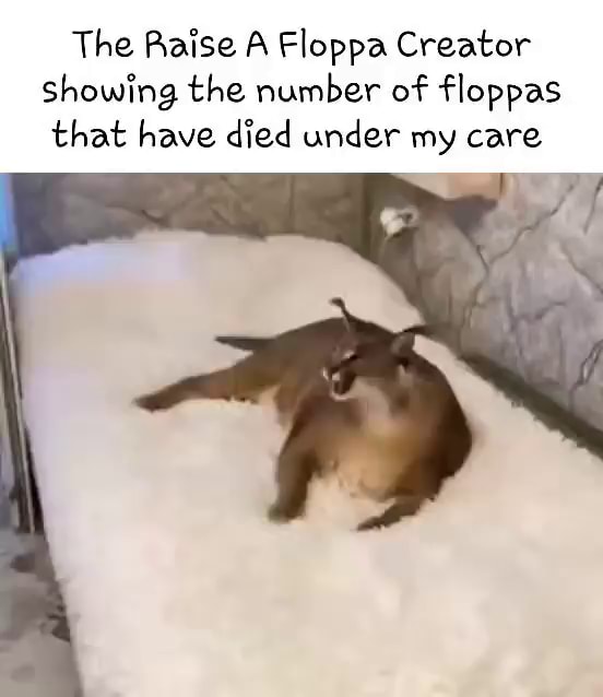 The Raise A Floppa Creator Showing the number of floppas that have died  under my care - iFunny Brazil