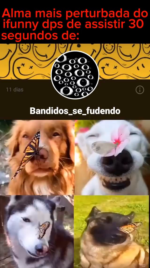 Garoando memes. Best Collection of funny Garoando pictures on iFunny Brazil