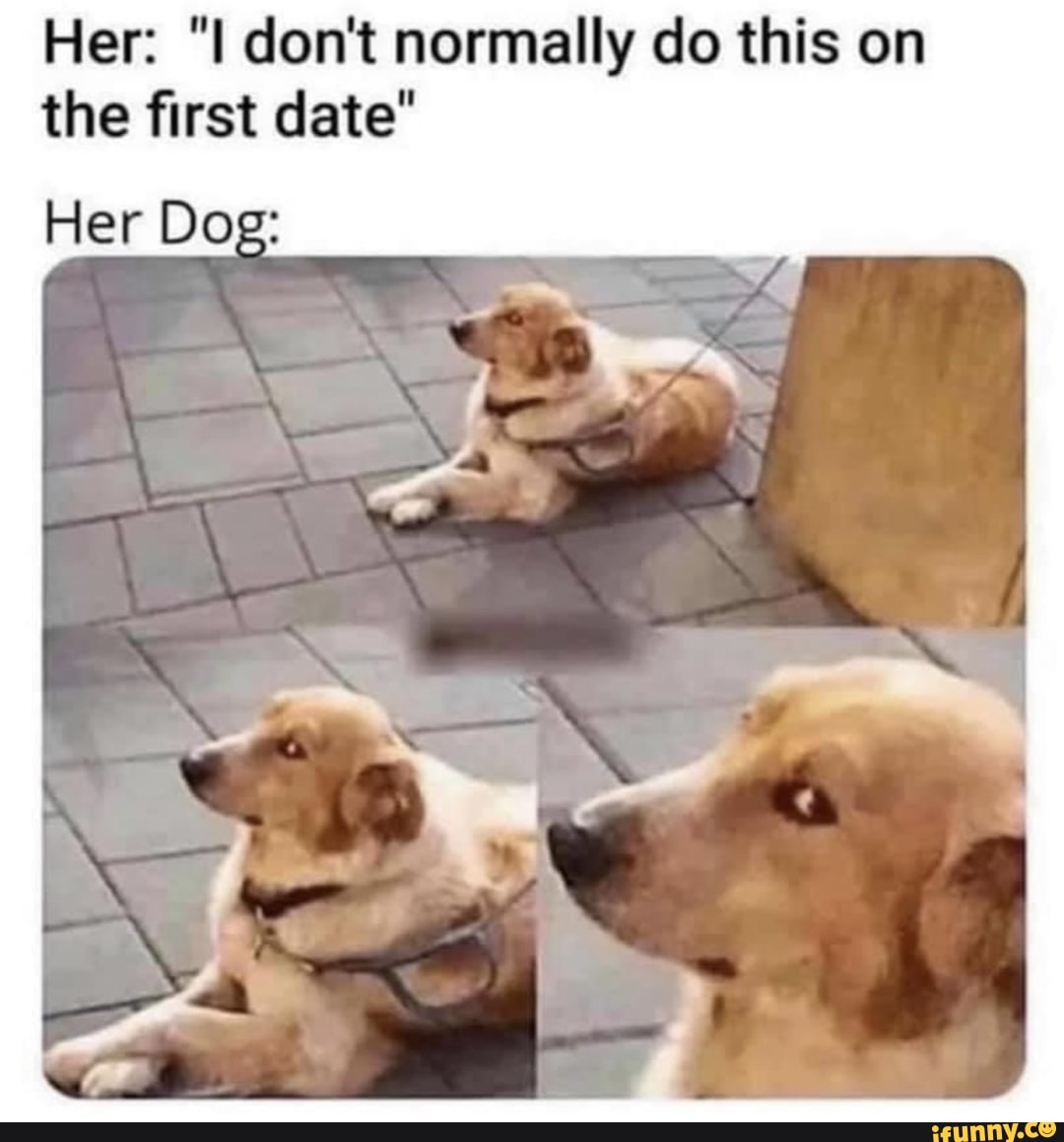 Meme Dump 0002 - Her: I dont normally do this on the first date Her Dog:  - iFunny Brazil