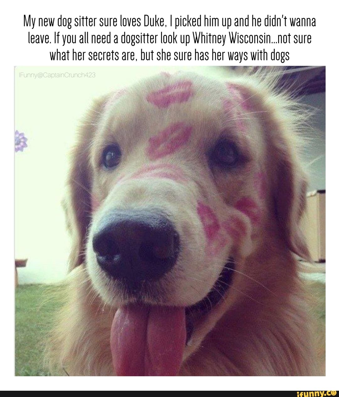 Whitney wisconson dog