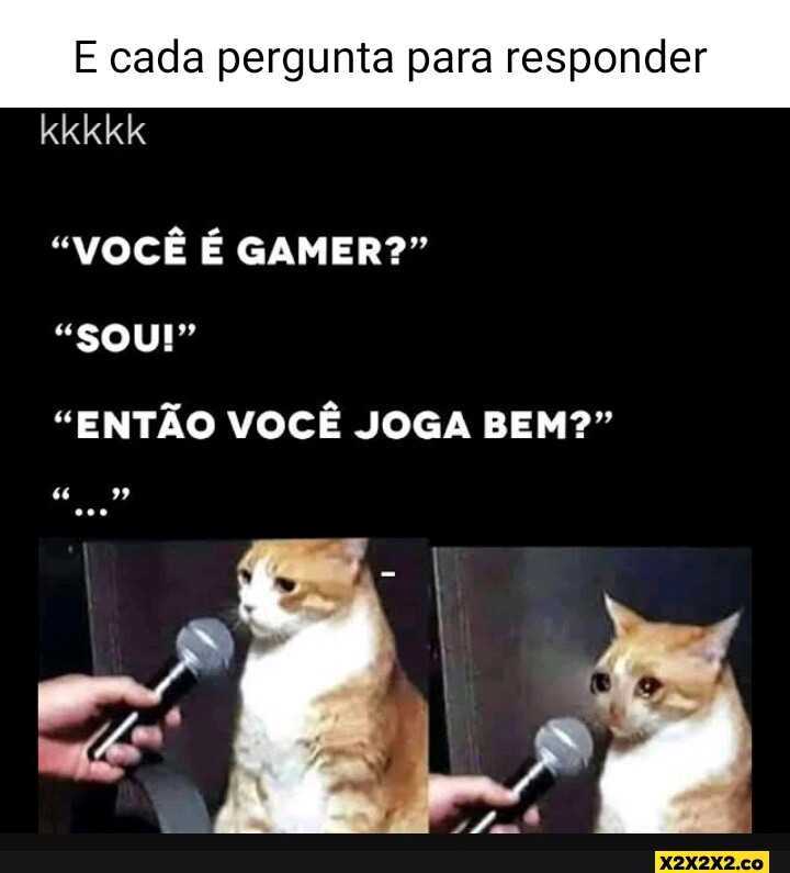 Videogame em que você joga como um gato de rua é o mais bem