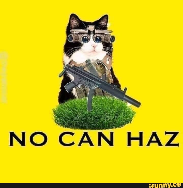 Catposting memes. Best Collection of funny Catposting pictures on iFunny  Brazil