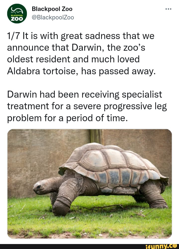 RIP Darwin - Blackpool Zoo ZOO, It is with great sadness that we ...