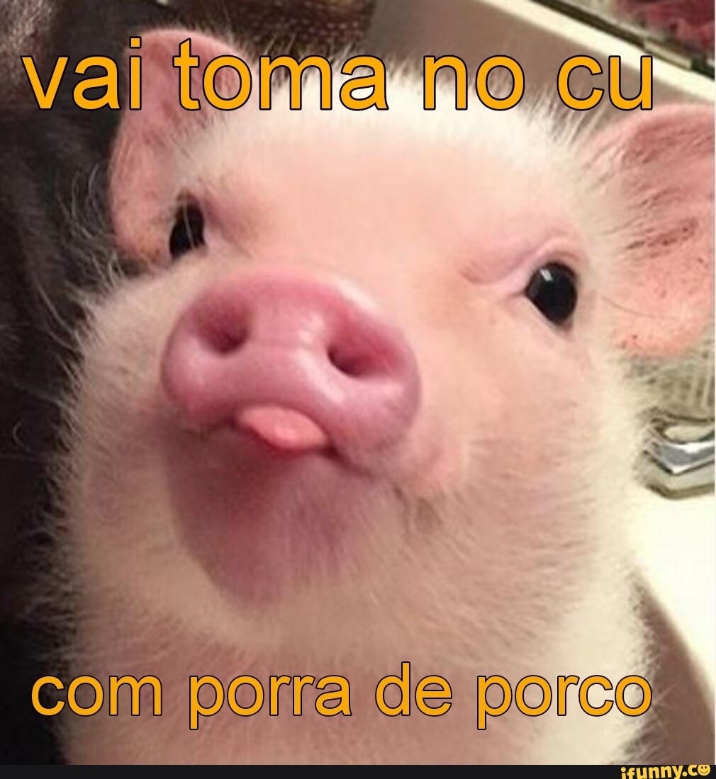 Val tona no cu- com porra porco - iFunny Brazil