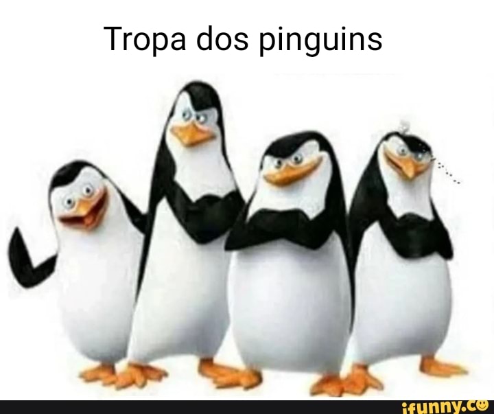 Pt 4 kkk #pinguim #meme #danca #shitpostmeme #calvo #tropadocalvo