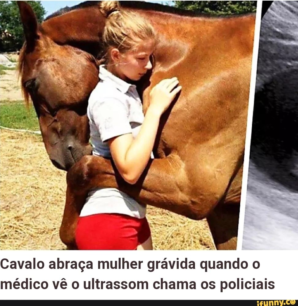 Cavalo abraça mulher grávida quando o médico vê o ultrassom chama os  policiais - iFunny Brazil