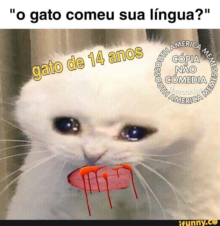 Jogo das palavras - O Gato não comeu minha língua