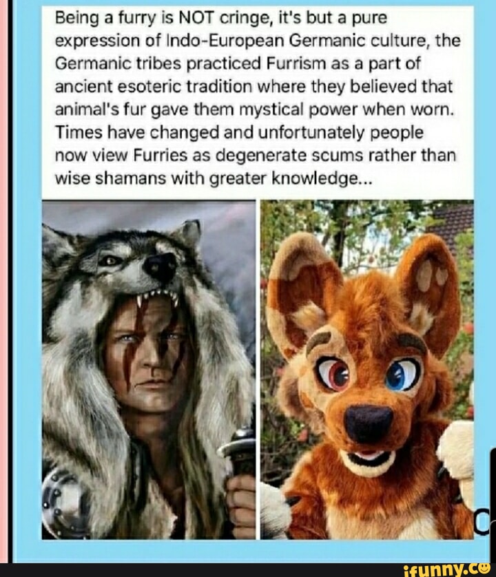 not furry - Meme by besterminer :) Memedroid