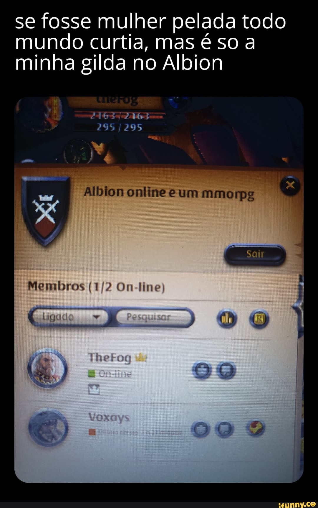 Se fosse mulher pelada todo mundo curtia, mas é so a minha gilda no Albion  2165 21653 295 /295 Alblon online e um mmorpg Membros 200 ne CO XXXOS9O -  iFunny Brazil