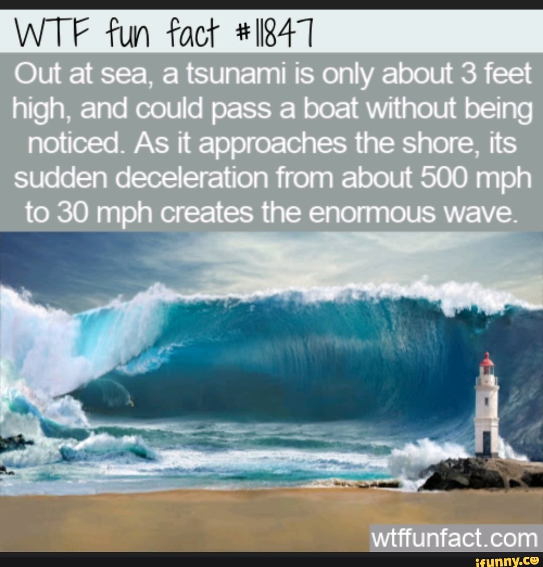 WTF Fun Fact 12821 - Lemmings Don't Commit Mass Suicide