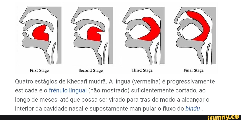 Pra aderir KKKKKKK JOGO 2 comentários N quero ver esse jogo pa tem gato e me