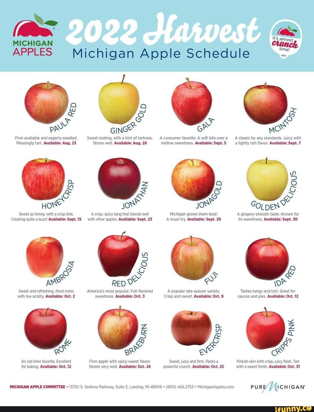 Apple Sweetness Chart - Foods Co.