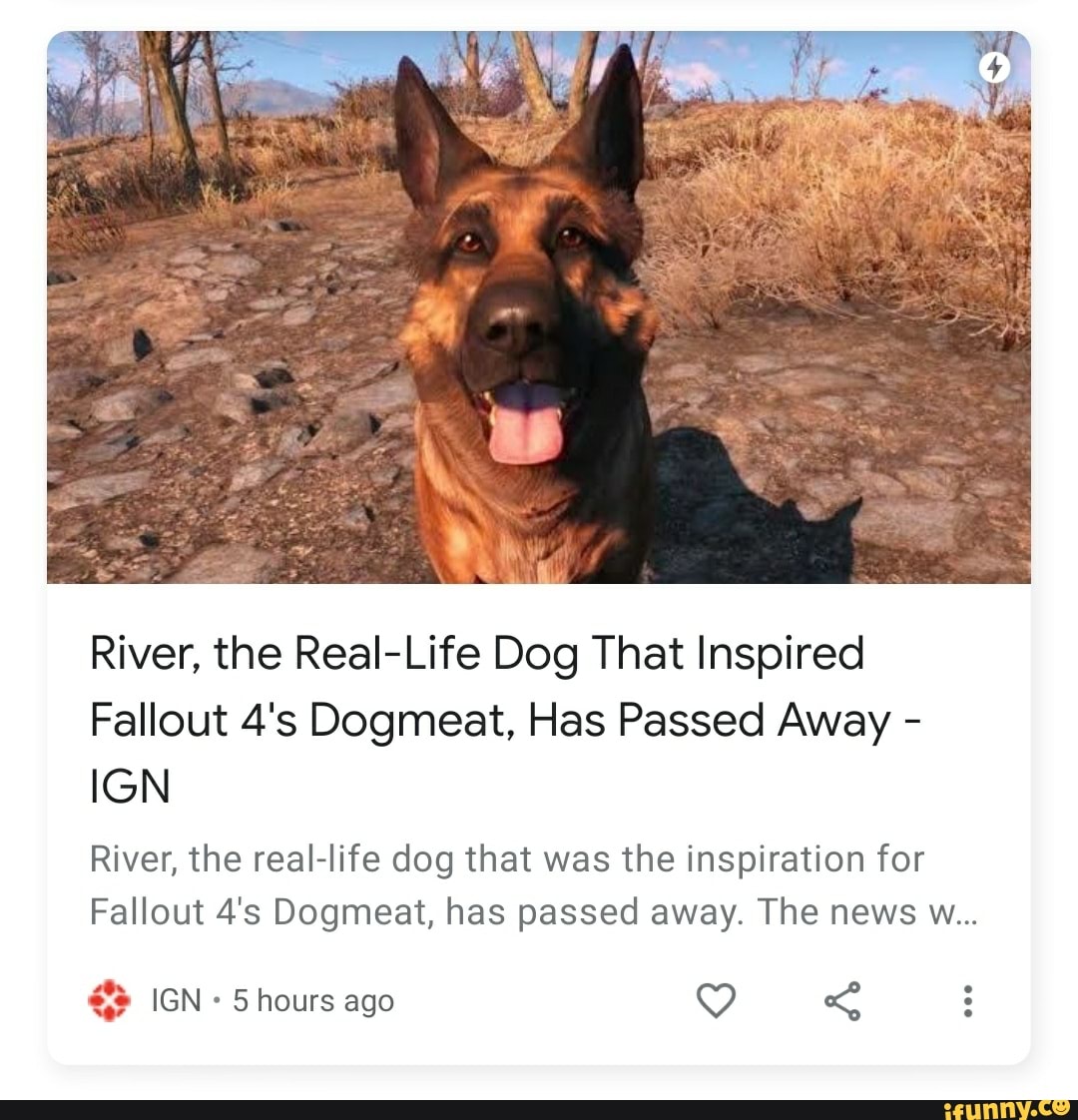 River, the Real-Life Dog That Inspired Fallout Dogmeat, Has Passed Away -  IGN River, the real