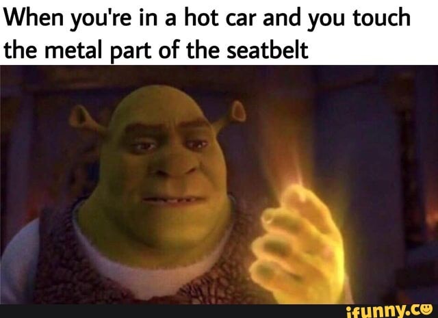 Tap to see the meme  Shrek, Funny photo memes, Shrek funny