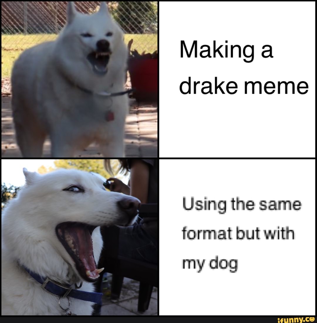 Making a meme with the drake formate Making a meme with