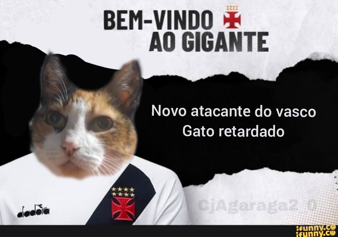 Jogo do tigre vai jogar no Vasco. Bem vindo ao gigante : r