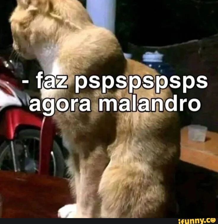 Engraçados. - Não devia nem existir esse tal de GB . Nos sigam para mais  memes. @engraçados.oficial Compartilhe com seus amigos. #memes #memesbr  #memesbrasil #humor #humorbrasil #engracados #engraçados #risadas #risos  #humor😂 #memes😂#comedia #