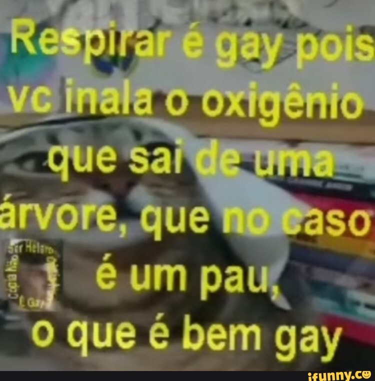 Sai sai gay ô - iFunny Brazil