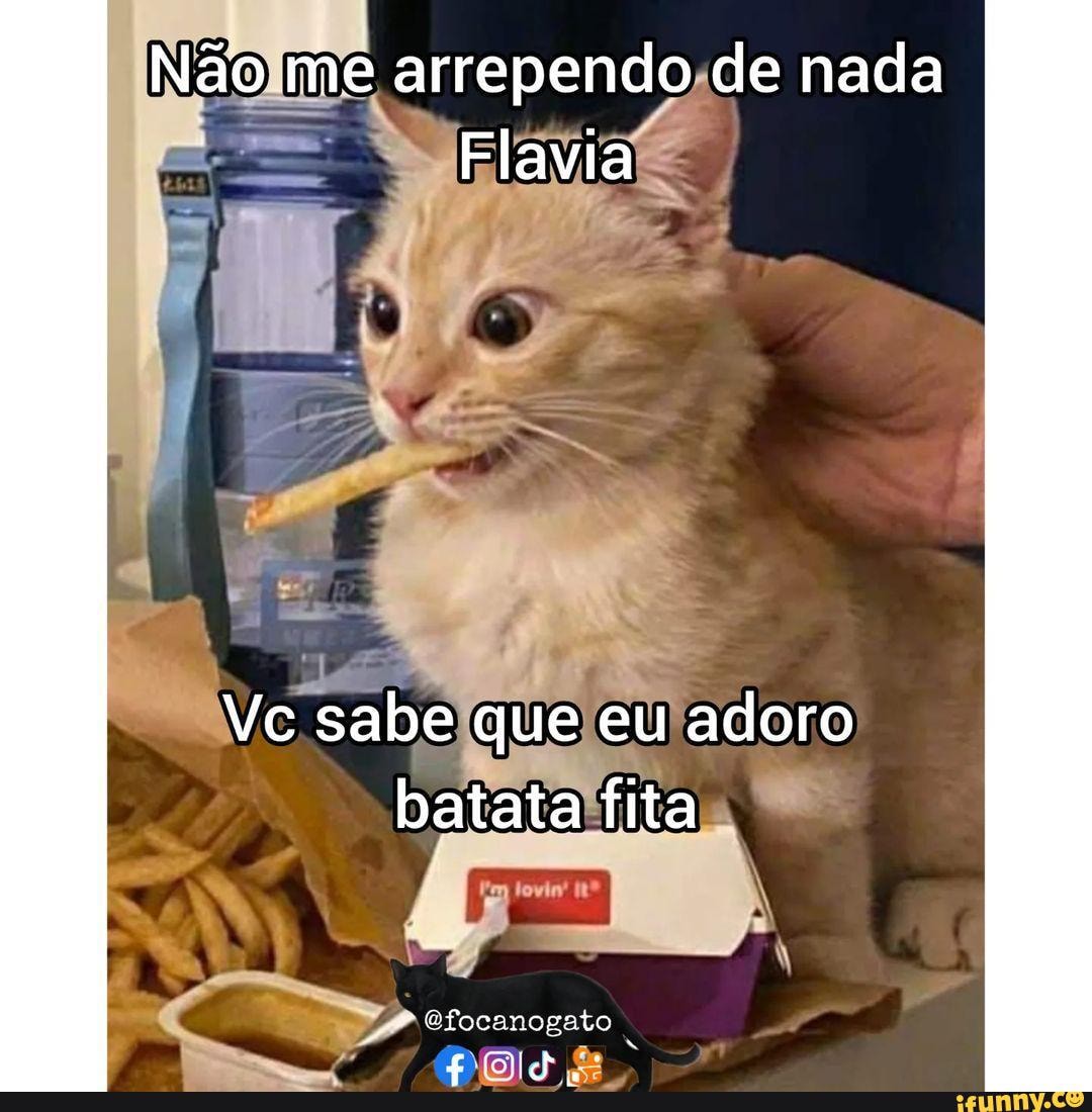 Flarinthias memes. Best Collection of funny Flarinthias pictures on iFunny  Brazil