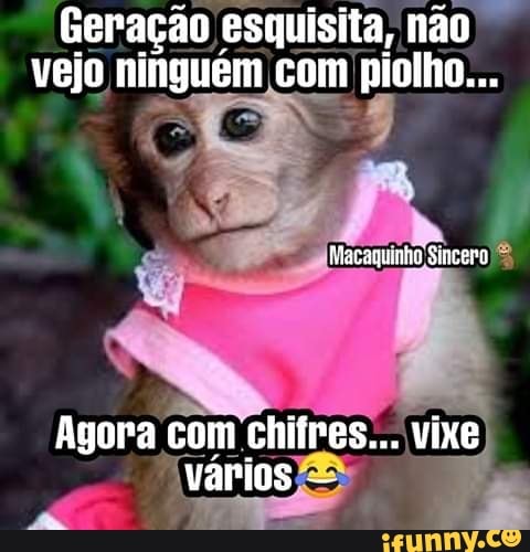 Parado aí, Macaco Louco! Bh, nãoyEstou sêndo oplimírio - iFunny Brazil