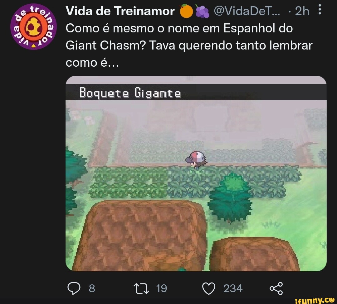 Vida de Treinamor OVidaDer.. Como é mesmo o nome em Espanhol do Giant  Chasm? Tava querendo tanto lembrar como é... Boquete Gigante 19 - iFunny  Brazil