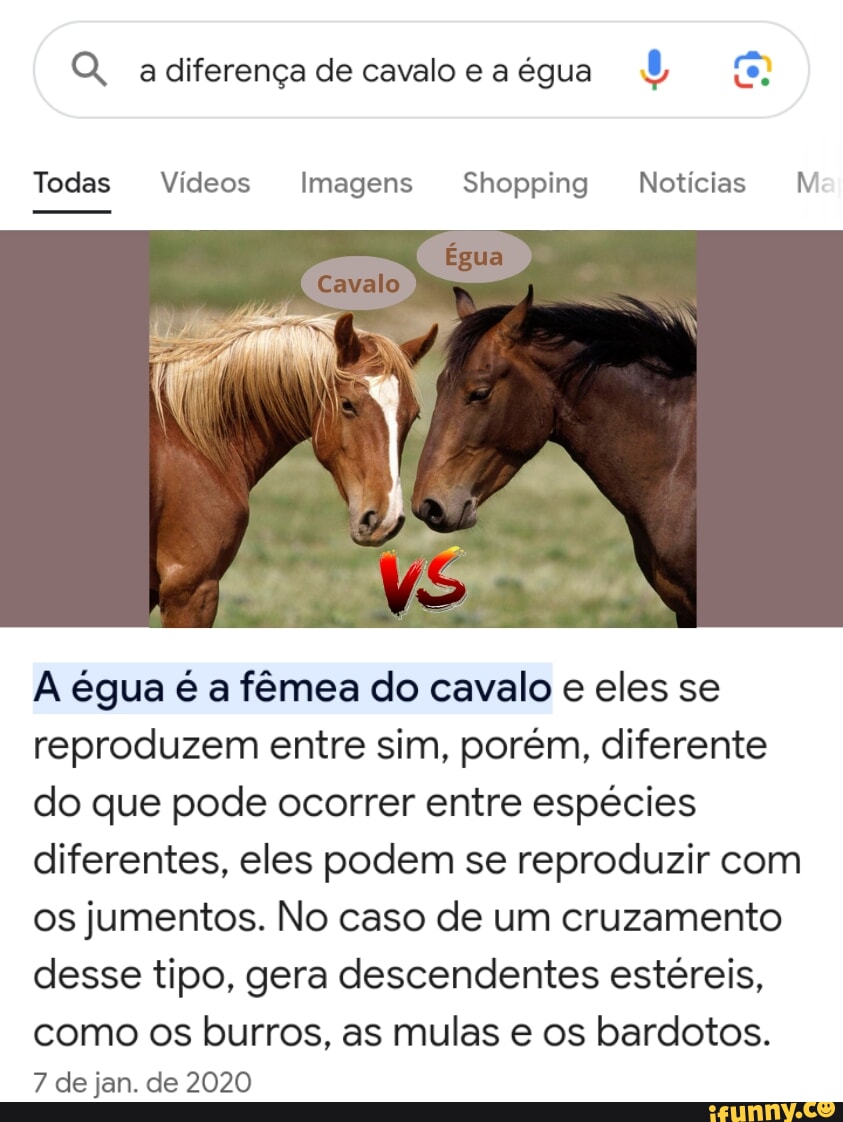 Q, a diferença de cavalo e a égua Todas Vídeos Imagens Shopping Notícias M  Égua A