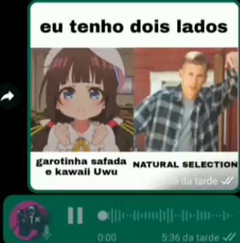 Tonikaku memes. Best Collection of funny Tonikaku pictures on iFunny Brazil