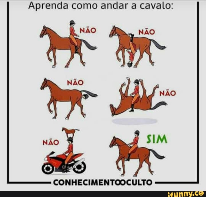 Andar a cavalo para iniciantes: tudo o que você precisa saber