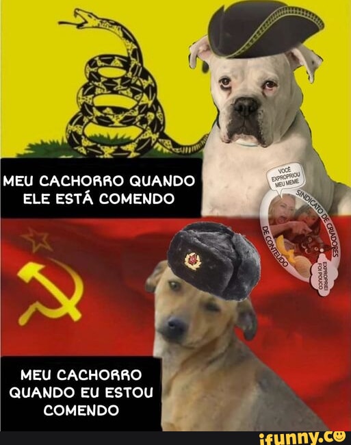 Quando eu estou morrendo na Fila do SUS e me lembro do meme do cachorro  Falando Intankavelo Bostil - iFunny Brazil