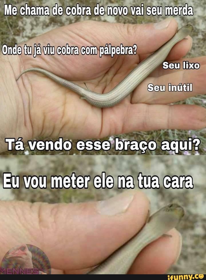 se eu jogar sal numa cobra , ela morre ? - Meme by Alpacaralho