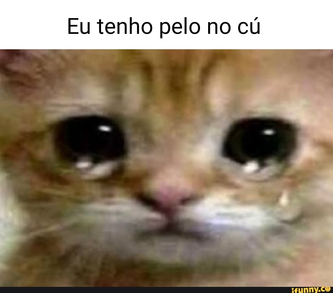 Eu tenho pelo no cú - iFunny Brazil