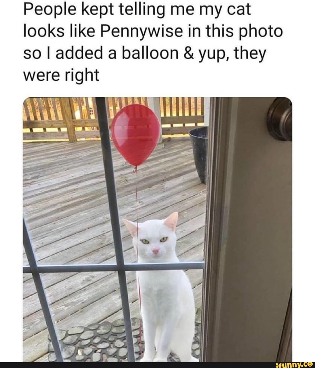 Cat dressed as clearance pennywise