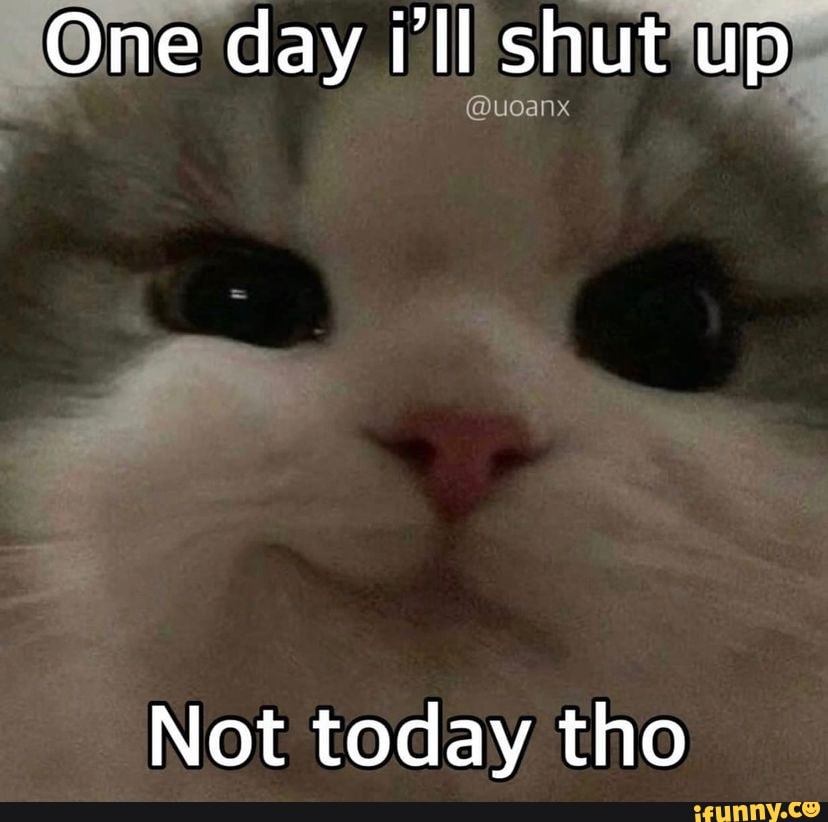 shut up cat meme