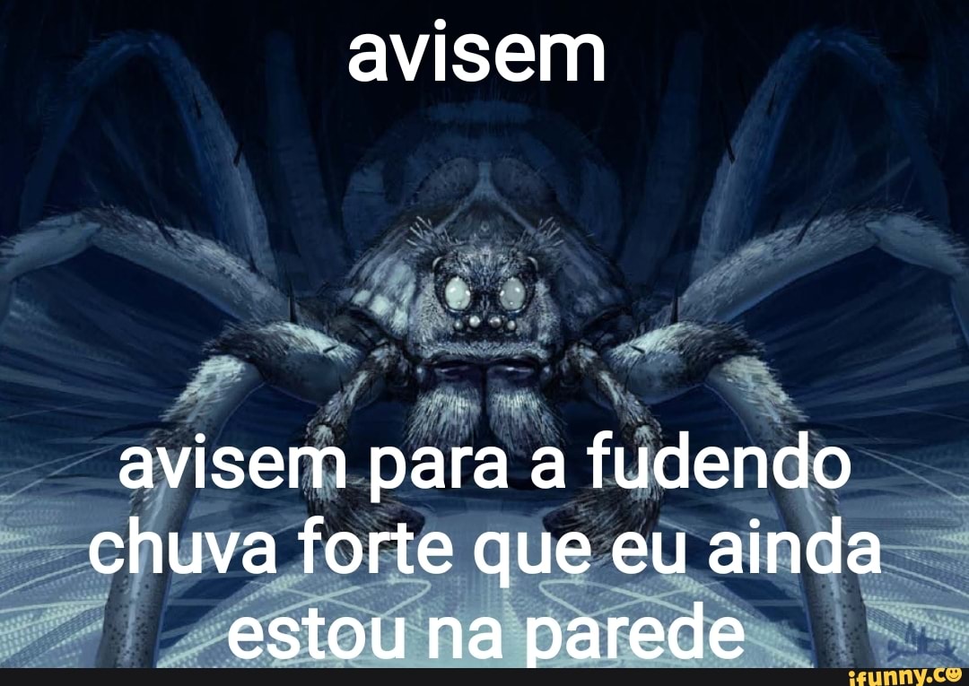 Avisem avisem para a fudendo chuva forte que eu ainda estou na parede -  iFunny Brazil