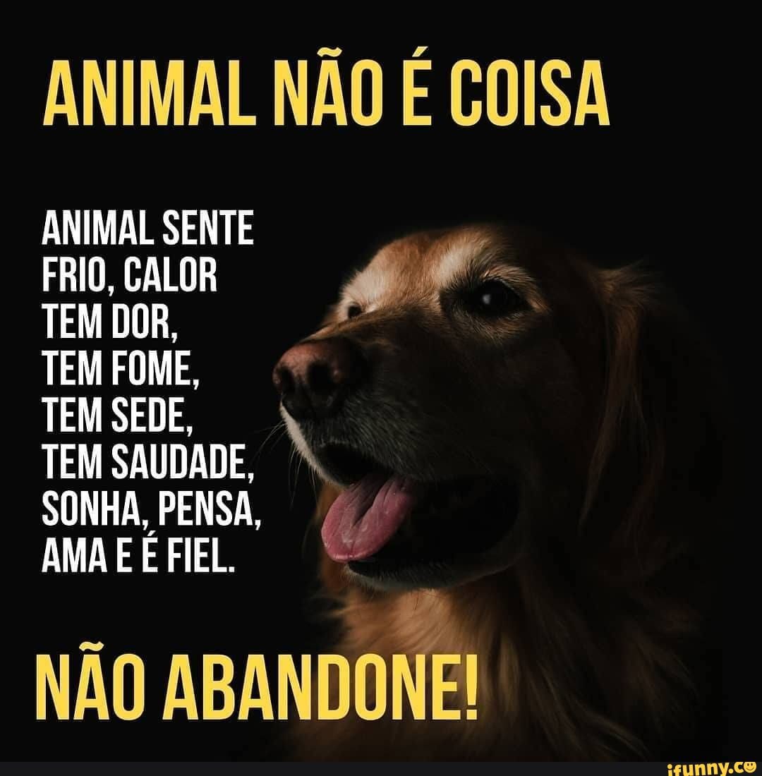 Curta a Página Animes Brasil Memes no Facebook e nos siga no