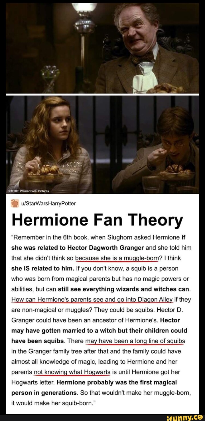 CREDIT: Bros. Pictures Hermione Fan Theory 