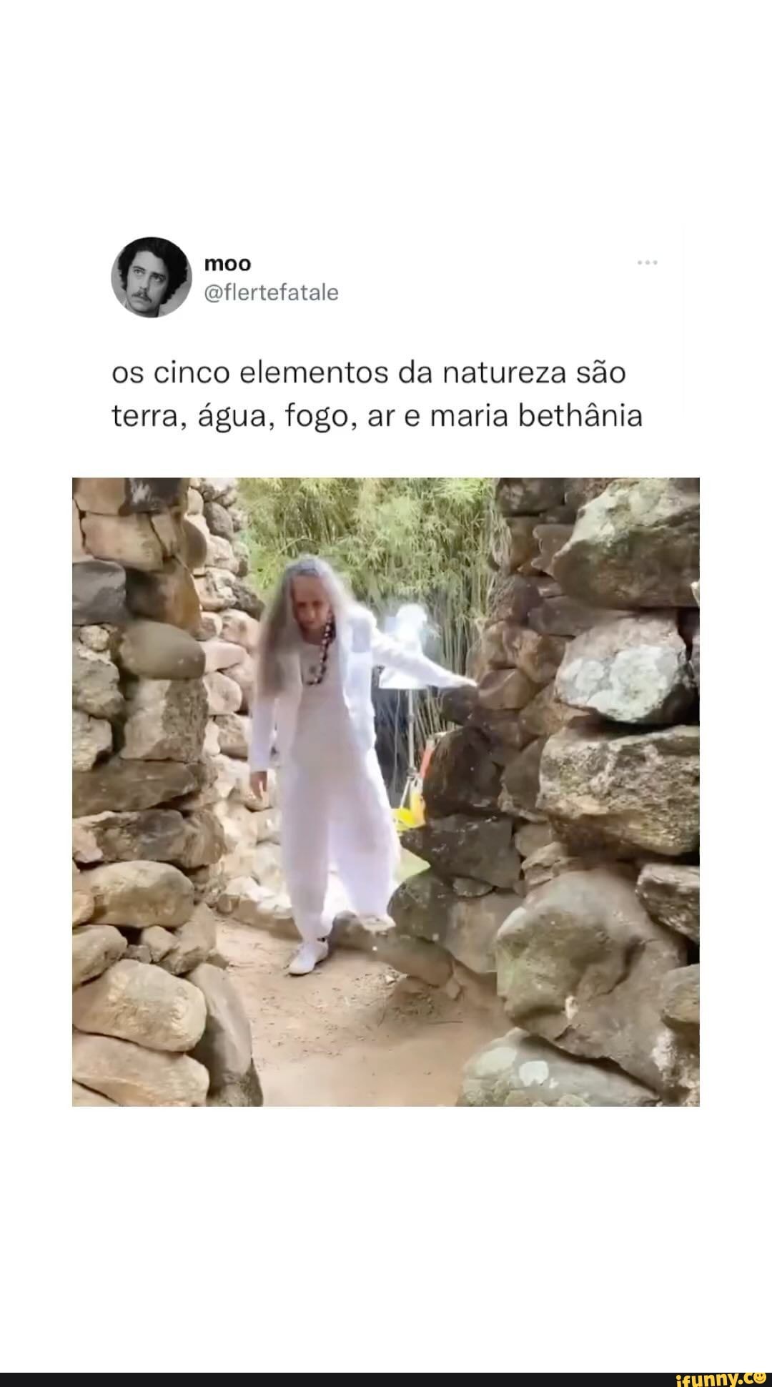 TERRA FOGO ÁGUA AR. - iFunny Brazil