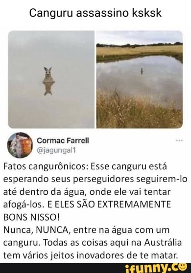 Os meme gamers. cangur de canguru vitaminado - iFunny Brazil