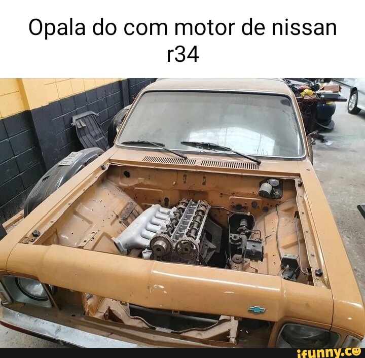 Motorizada memes. Best Collection of funny Motorizada pictures on iFunny  Brazil