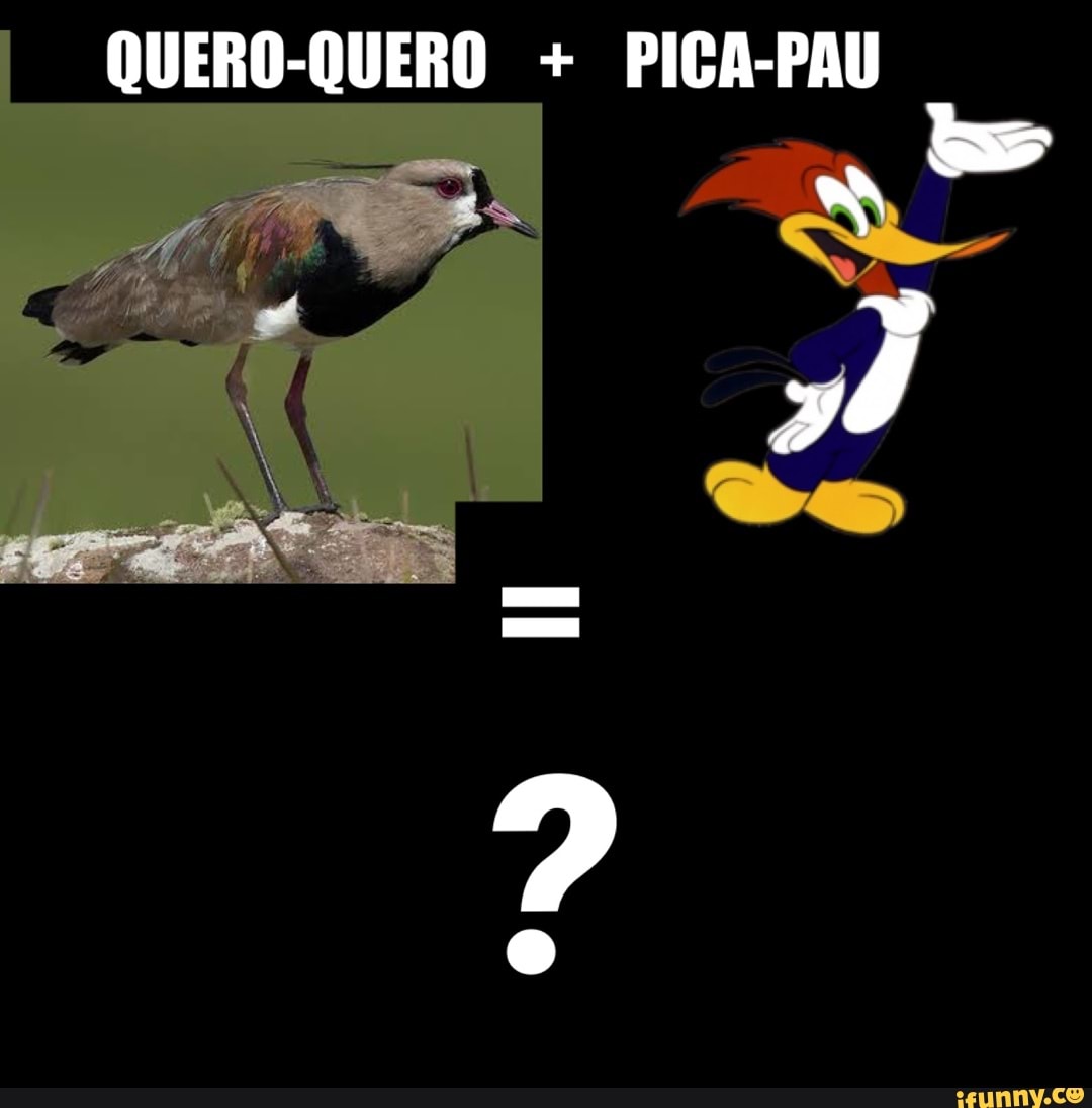 QUERO-QUERO + PICA-PAU - iFunny Brazil